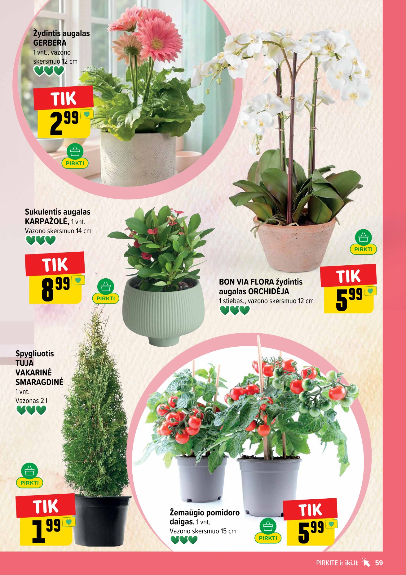 Iki savaitėlė nuo pirmadienio akcijų leidinys - balandžio 27 – page 59