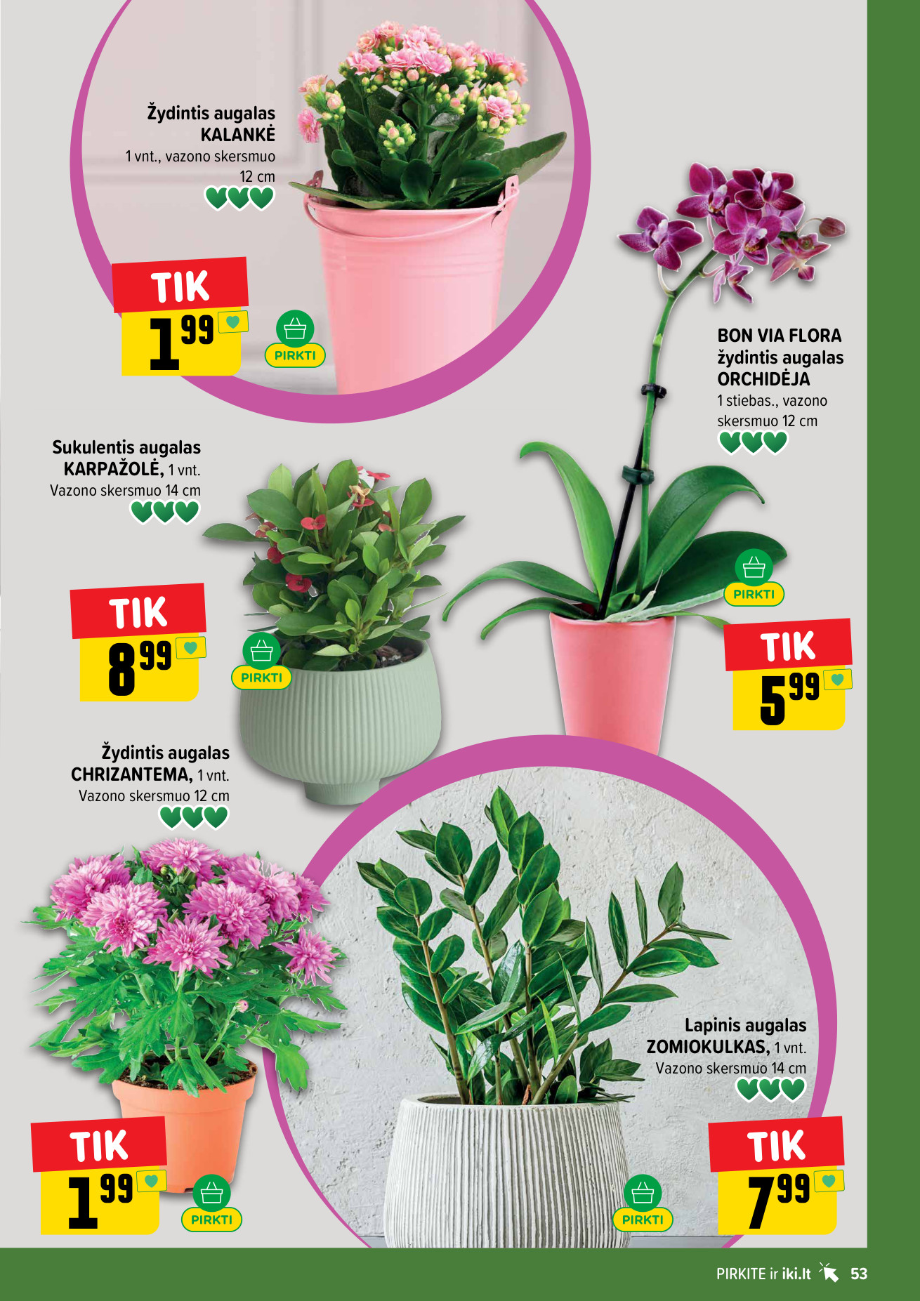Iki savaitėlė nuo pirmadienio akcijų leidinys - Liepos 6 – page 53