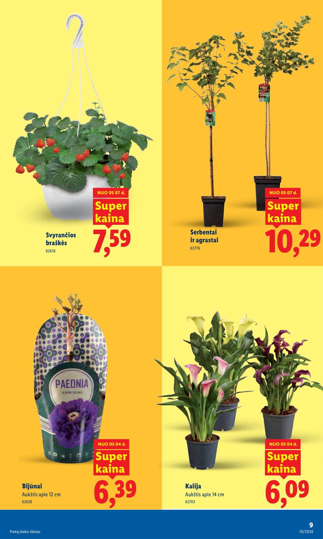 Lidl akcijų leidinys - gegužės 4 – page 9