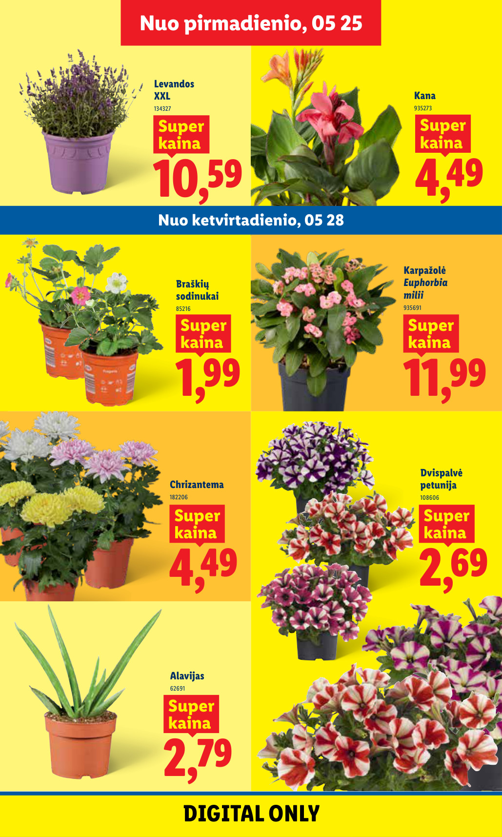 Lidl akcijų leidinys - gegužės 25 – page 7