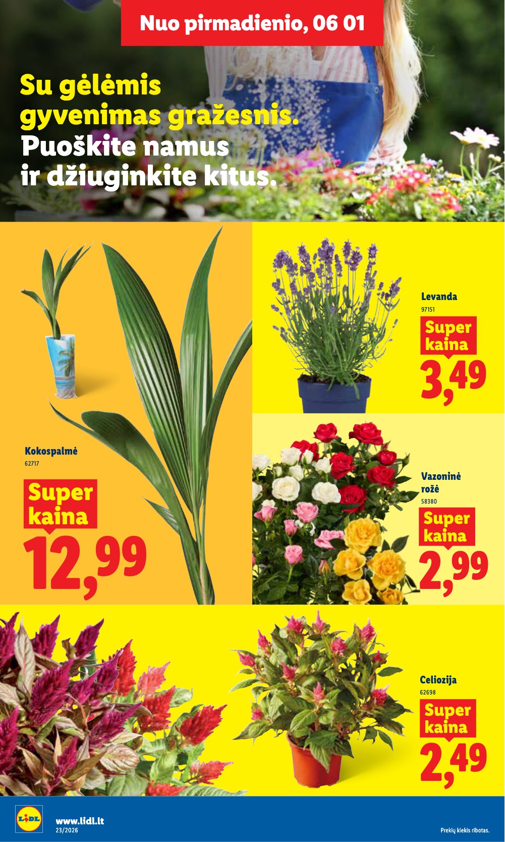 Lidl akcijų leidinys - Birželio 1 – page 12