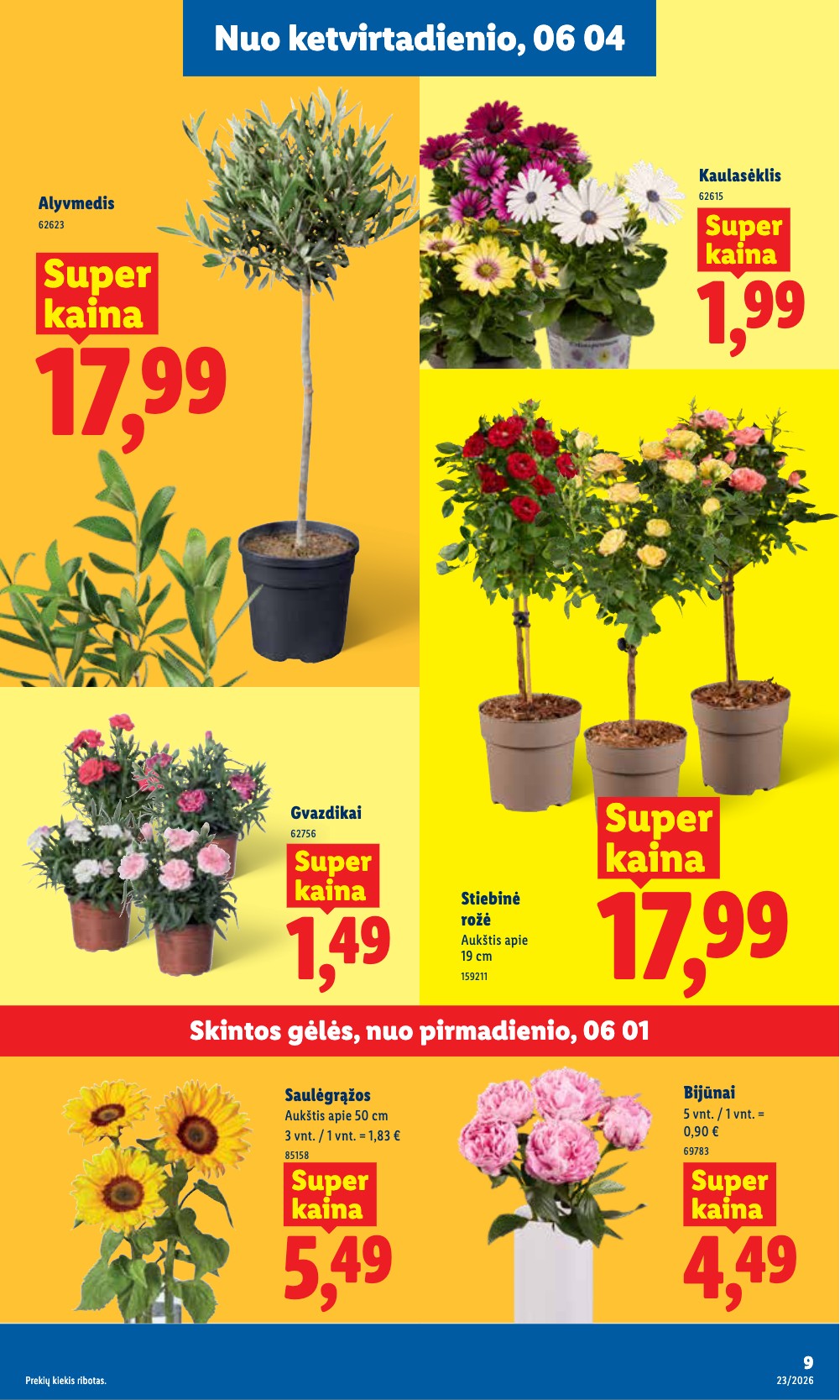 Lidl akcijų leidinys - Birželio 1 – page 13