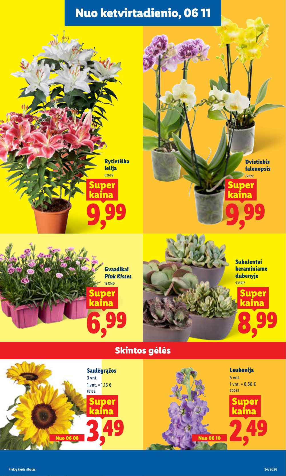 Lidl akcijų leidinys - Birželio 8 – page 9