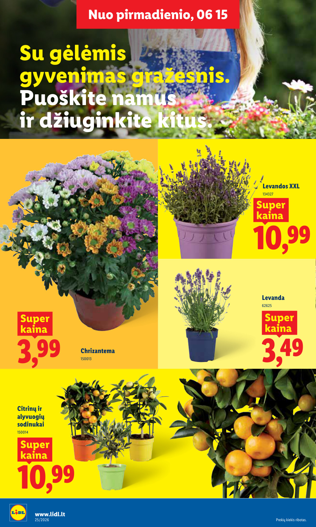 Lidl akcijų leidinys - Birželio 15 – page 8