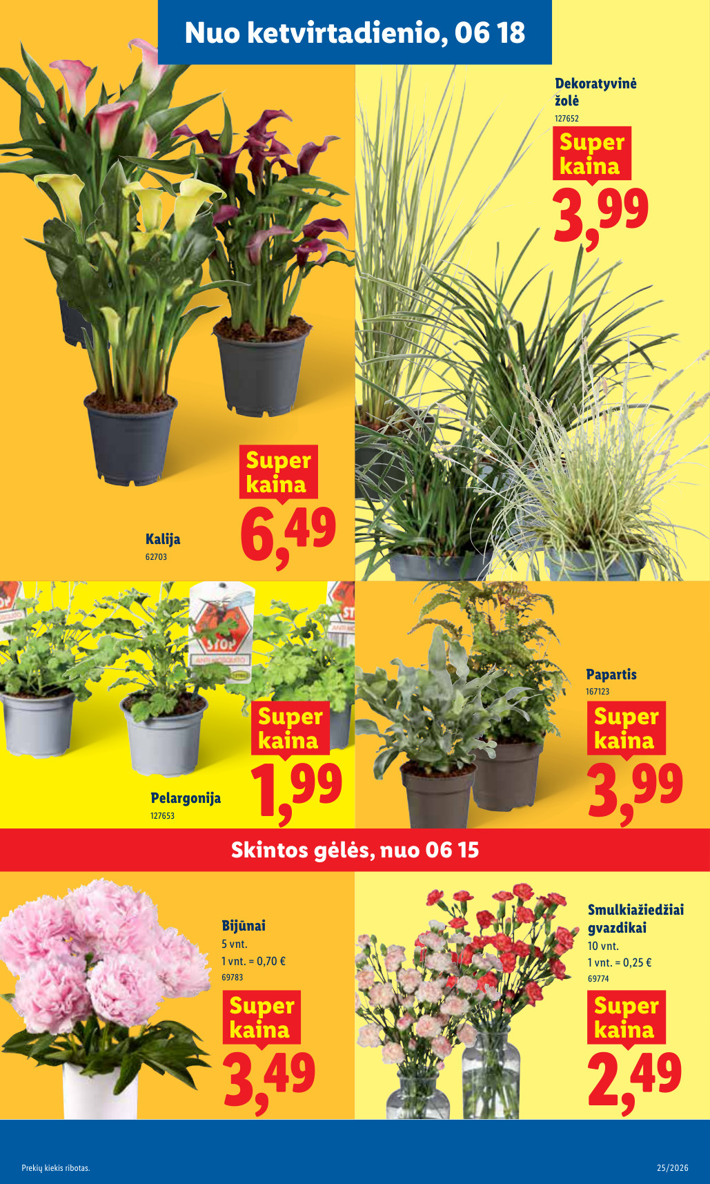 Lidl akcijų leidinys - Birželio 15 – page 9