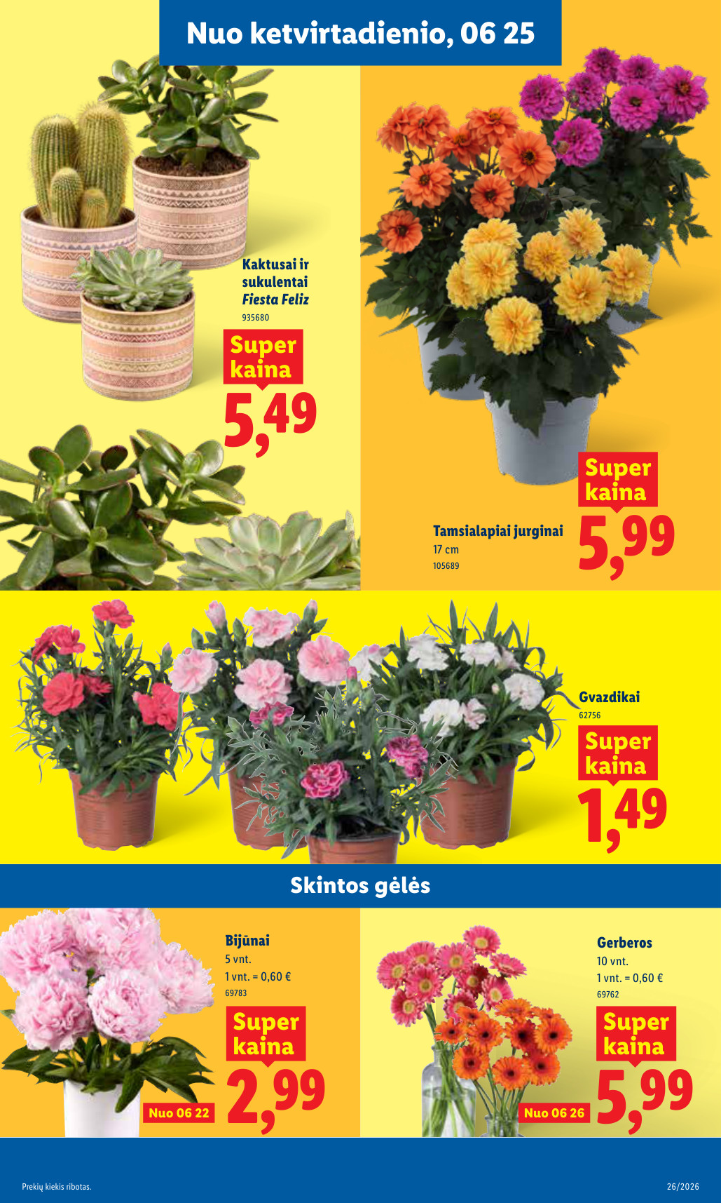 Lidl akcijų leidinys - Birželio 22 – page 9