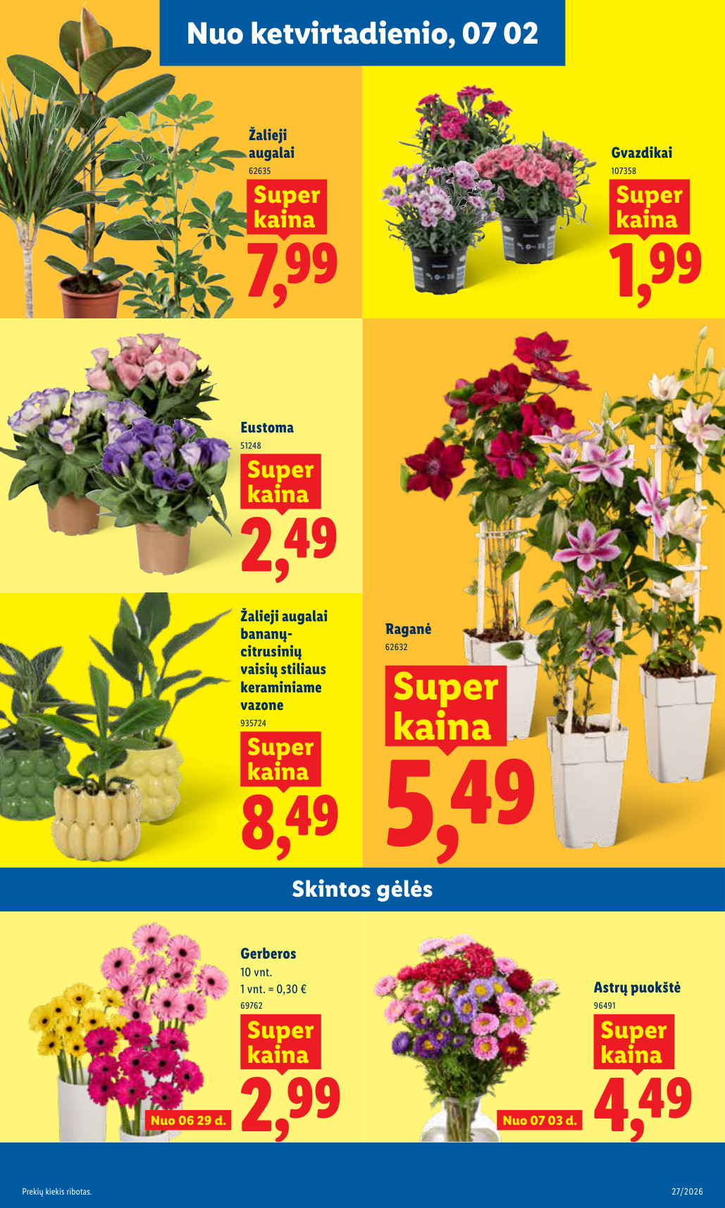 Lidl akcijų leidinys - Birželio 29 – page 9