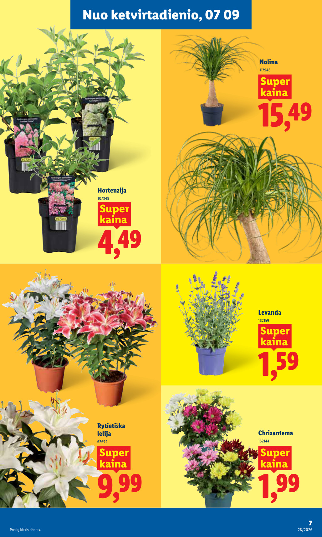 Lidl akcijų leidinys ne maisto - Liepos 6 – page 7
